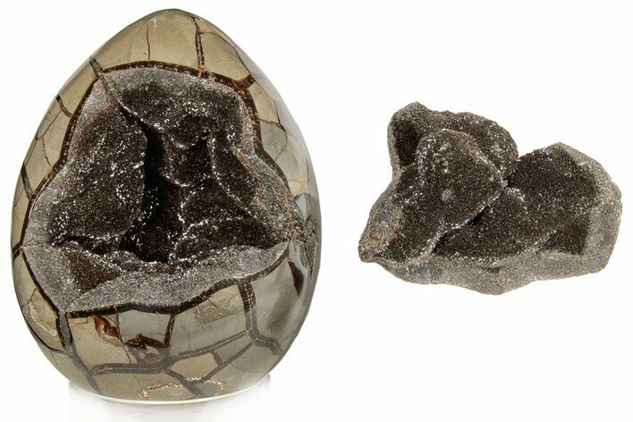 7.6" Septarian "Dragon Egg" Geode - Removable Section